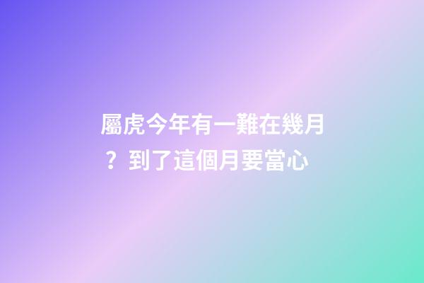 屬虎今年有一難在幾月？到了這個月要當心